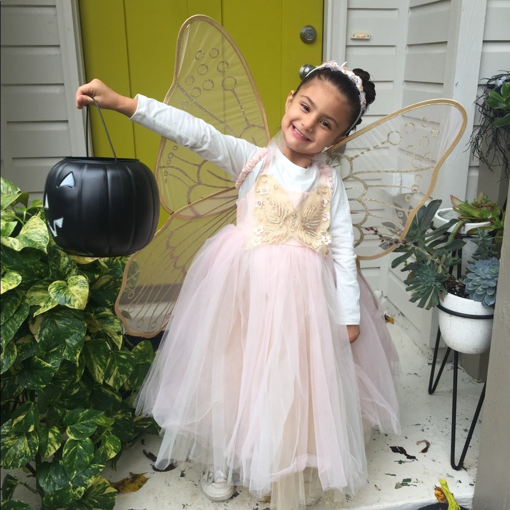 Pottery Barn Kids Fairy Costume